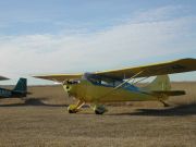 1946 model Aeronca Super Chief 11 BC